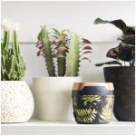 ⁦سماعات Chant Mini بلوتوث - مارلي - Palm - EM-JA007-PM⁩ - الصورة ⁦5⁩
